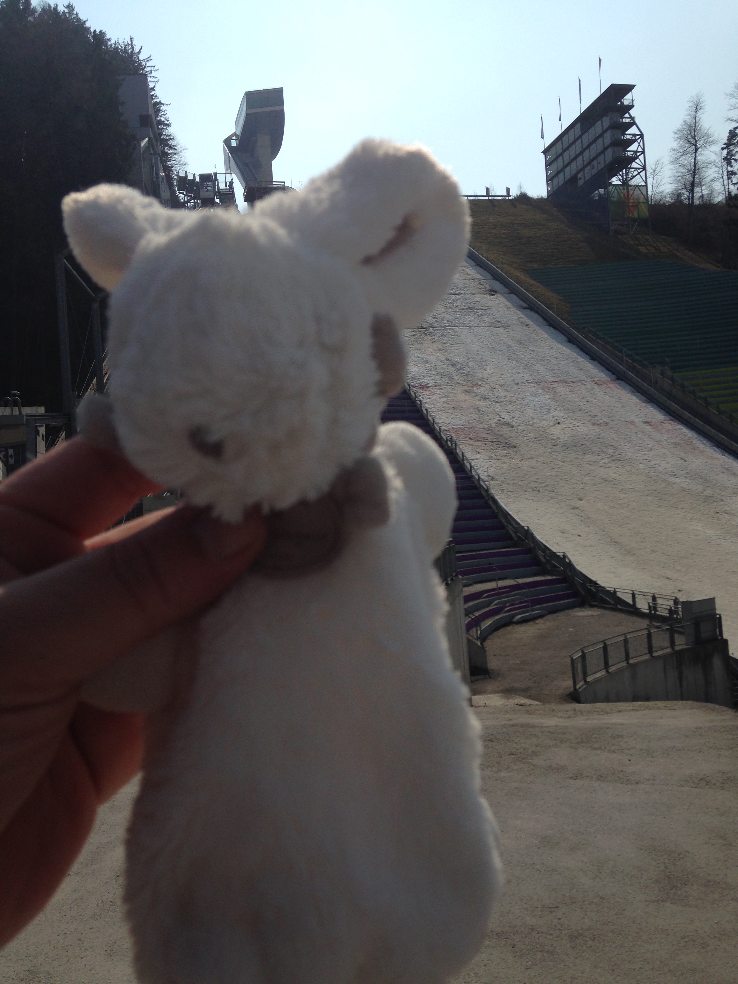 Bunny at the ski jump in Austria
