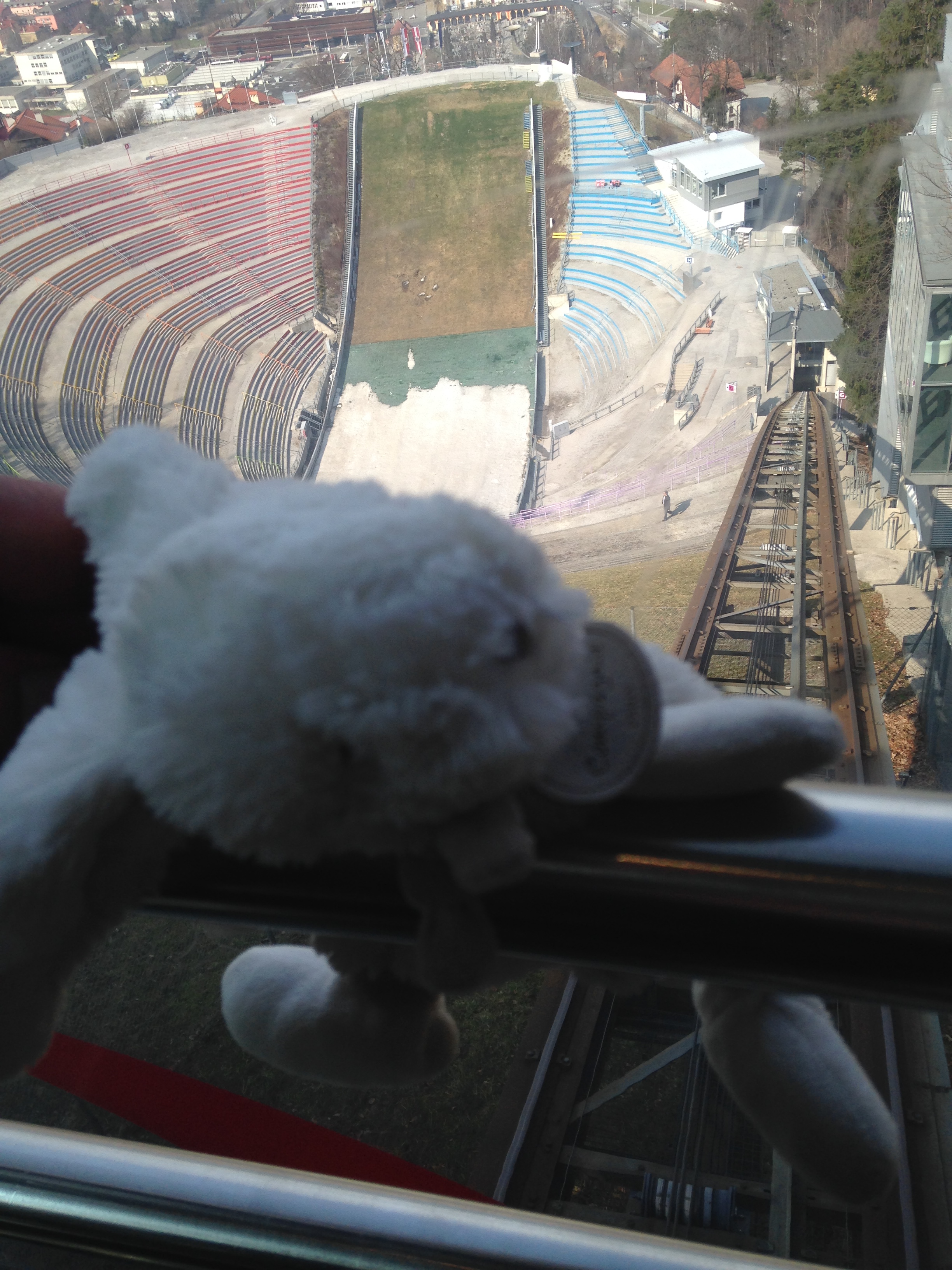 Bunny looking out over the ski stadium