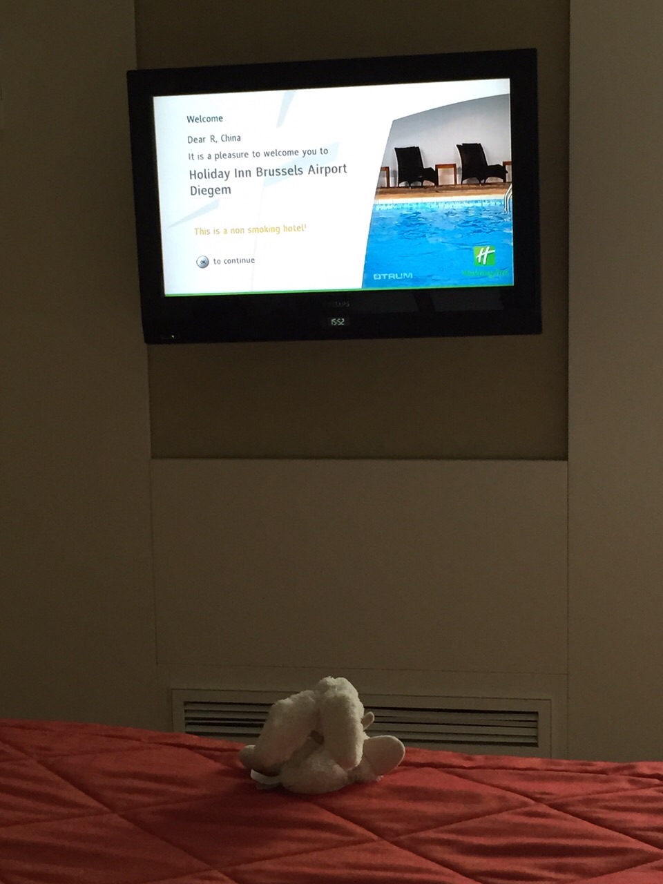Bunny in Belgium