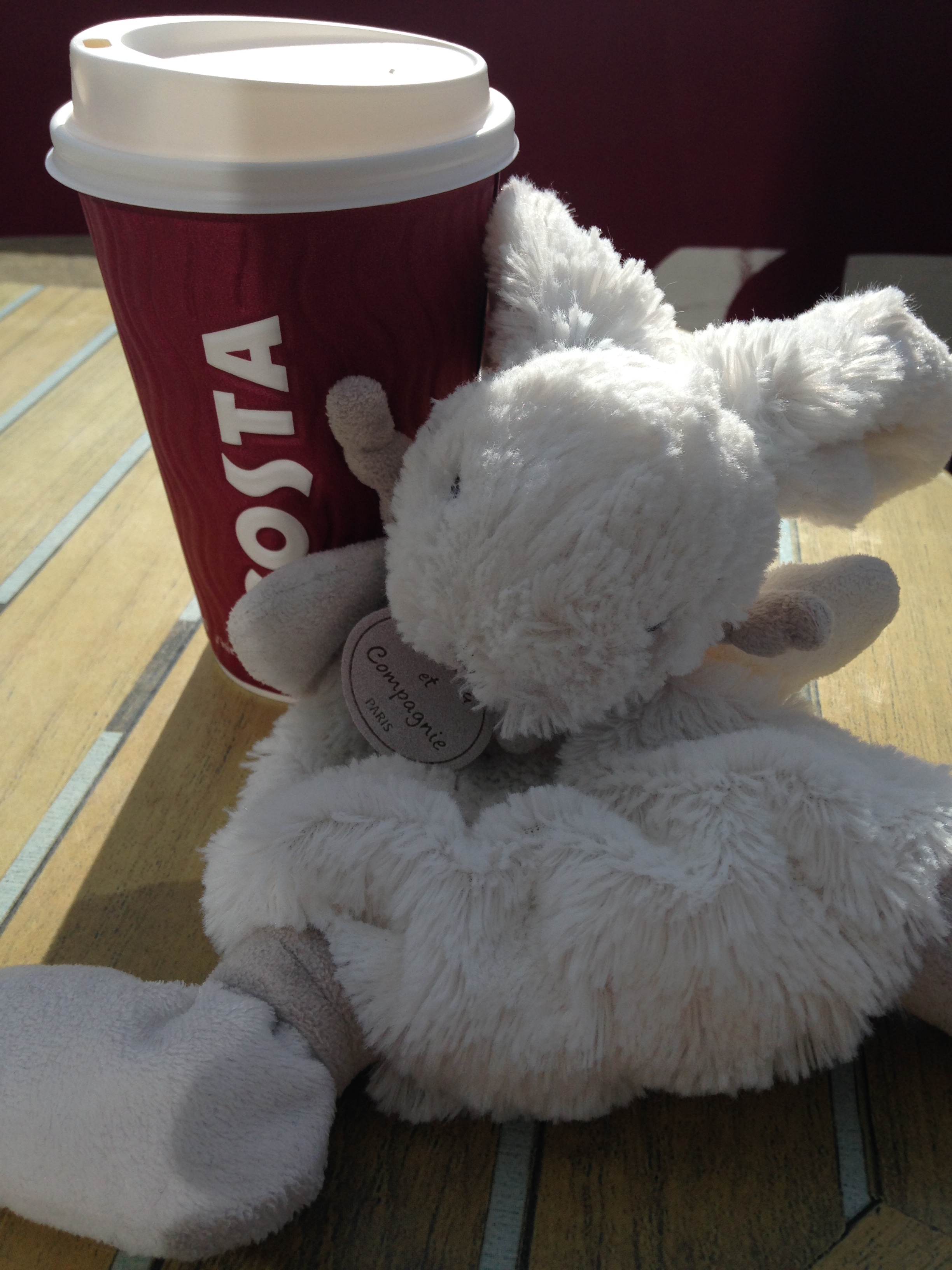 Bunny with Costa Coffee