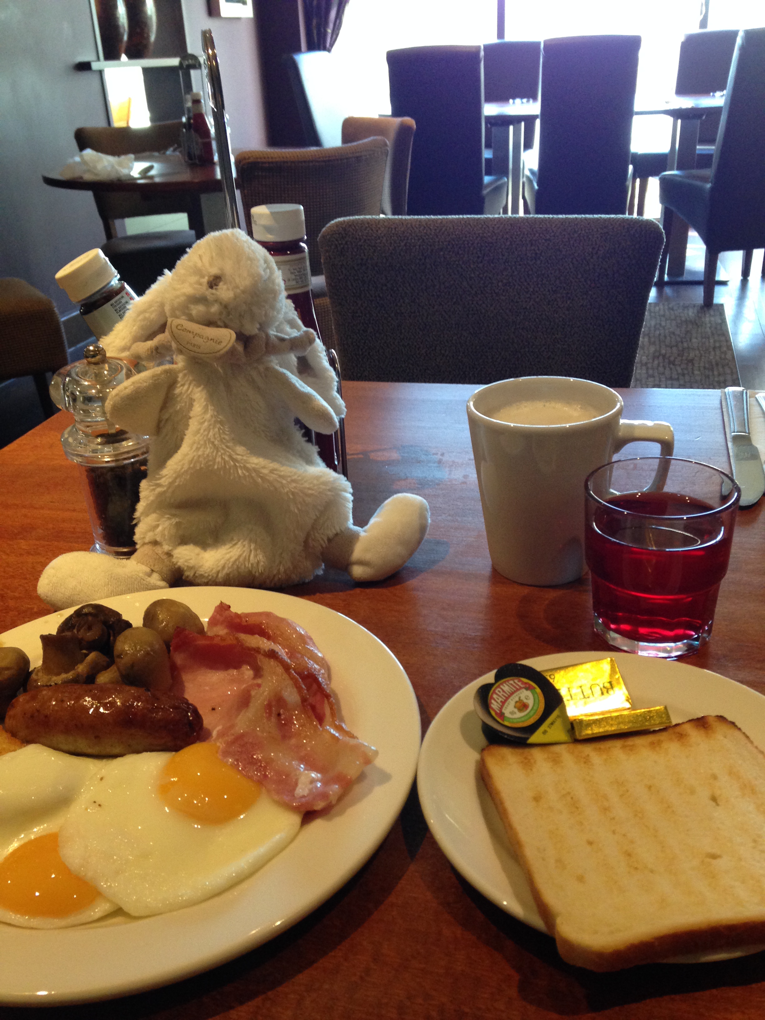 Bunny at breakfast in the UK
